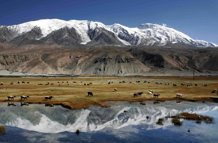 倍頭條 | 拍得銅礦，格局打開！倍杰特業(yè)務(wù)新布局