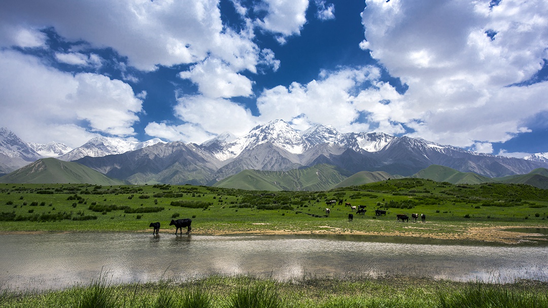 倍頭條 | 一周內(nèi)倍杰特成功競得兩處銅礦！